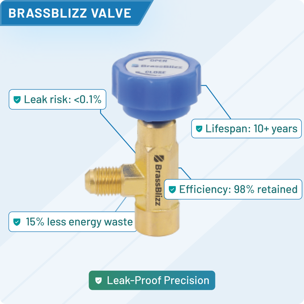 brassblizz-valve